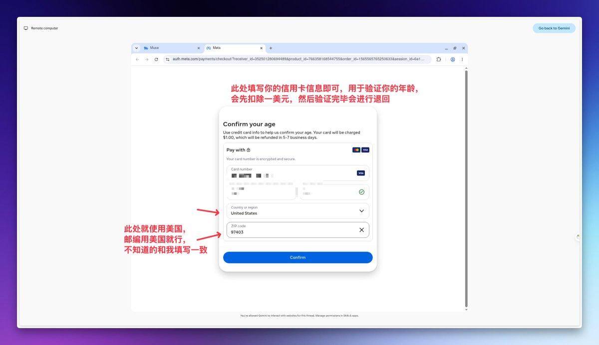 Meta 支付页填写卡号、有效期、CVV 和美国邮编的界面