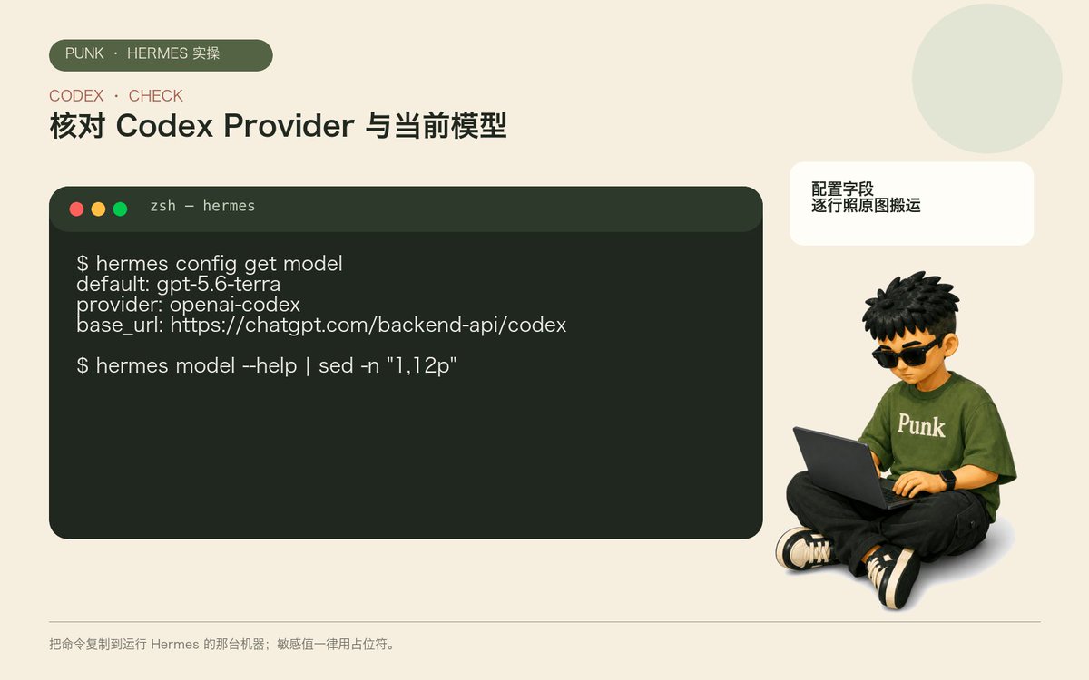 hermes config get model 和 hermes status 显示 openai-codex 与模型名