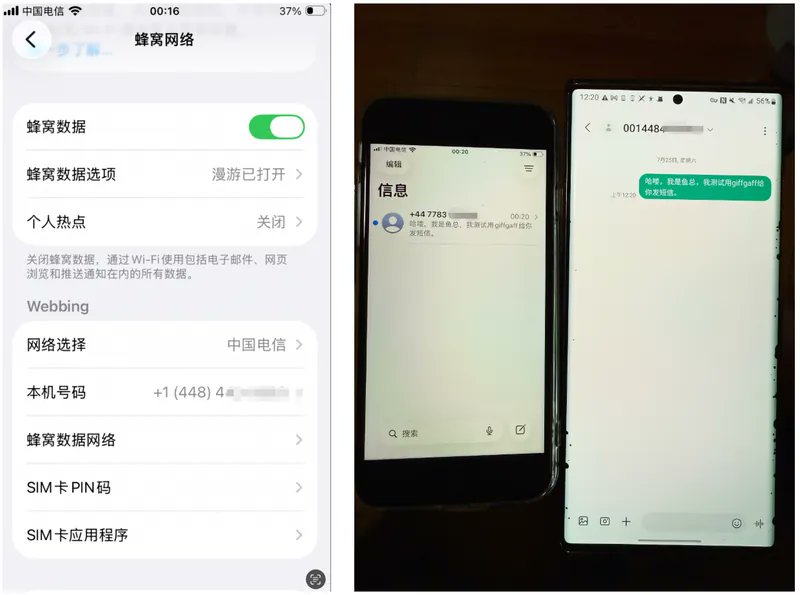 iPhone 蜂窝网络设置显示美国 +1 号码截图