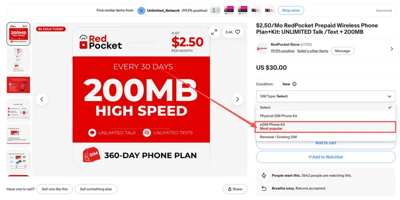 eBay 下单页面 SIM Type 选择 eSIM Phone Kit 的截图