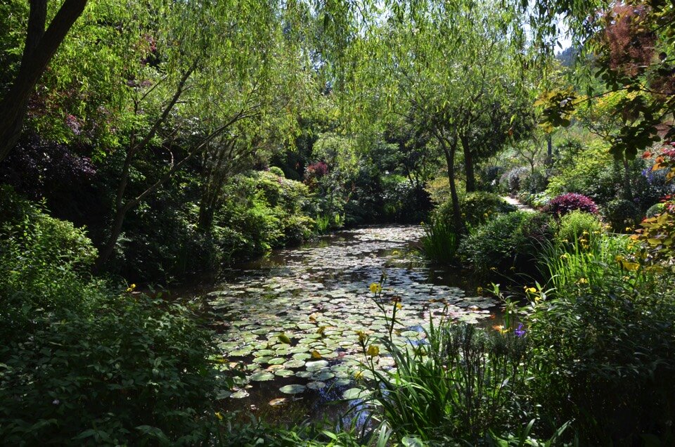 地中花园的水面、植物与光线