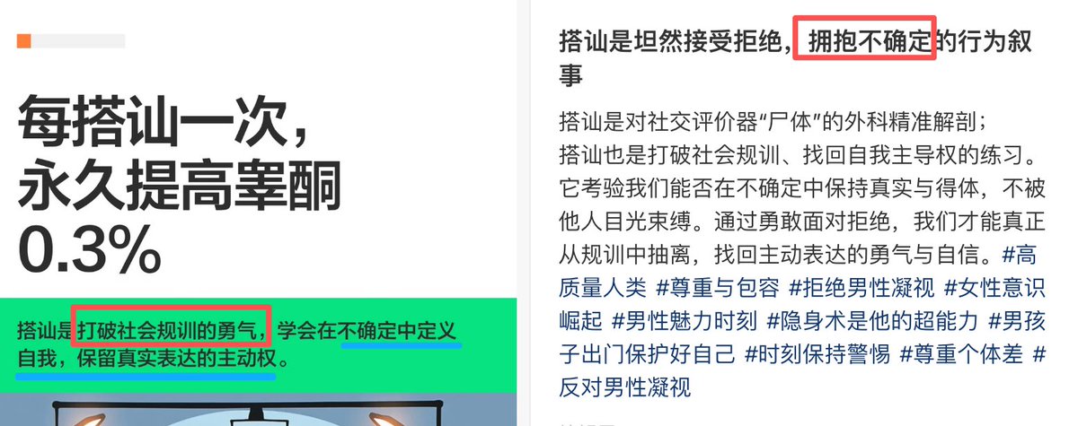 粉丝笔记中关于搭讪与主体性的文案截图