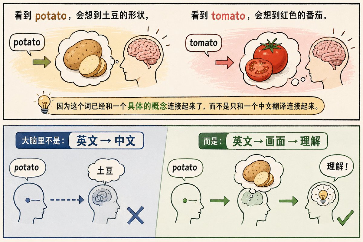 英文直接连接画面与理解的配图
