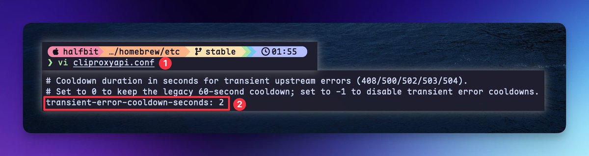 配置文件中 transient-error-cooldown-seconds 所在行的截图