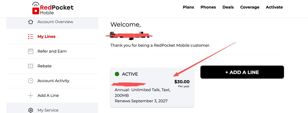 手机 SIM 卡设置页面中的 Roaming Details 入口截图