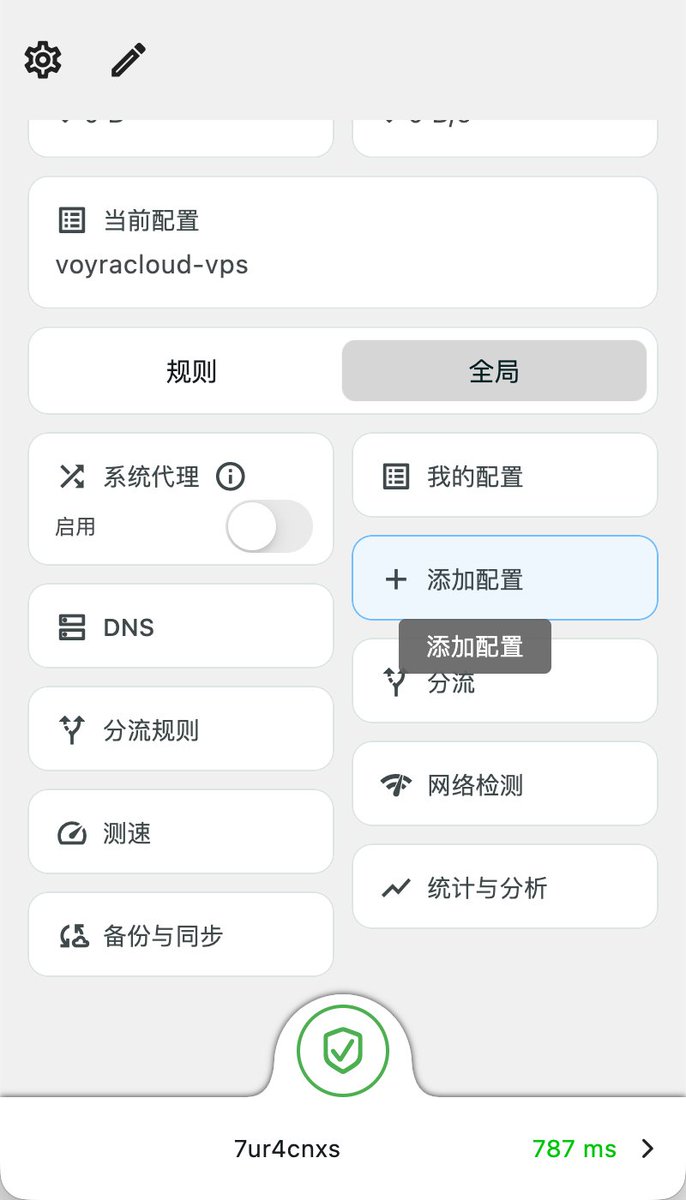 Karing 从剪贴板导入 vless 链接的界面