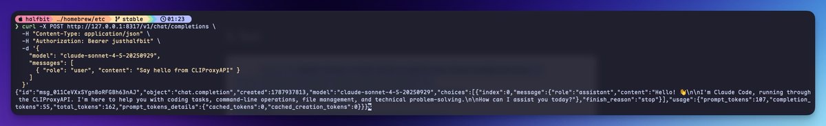curl 请求本地代理接口后返回 Hello 内容的终端截图
