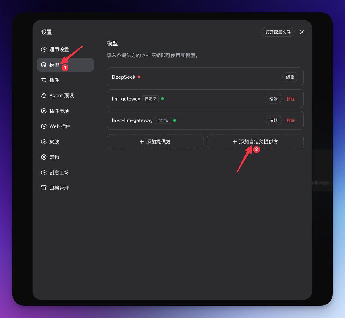在模型菜单里选择添加自定义提供方的菜单截图