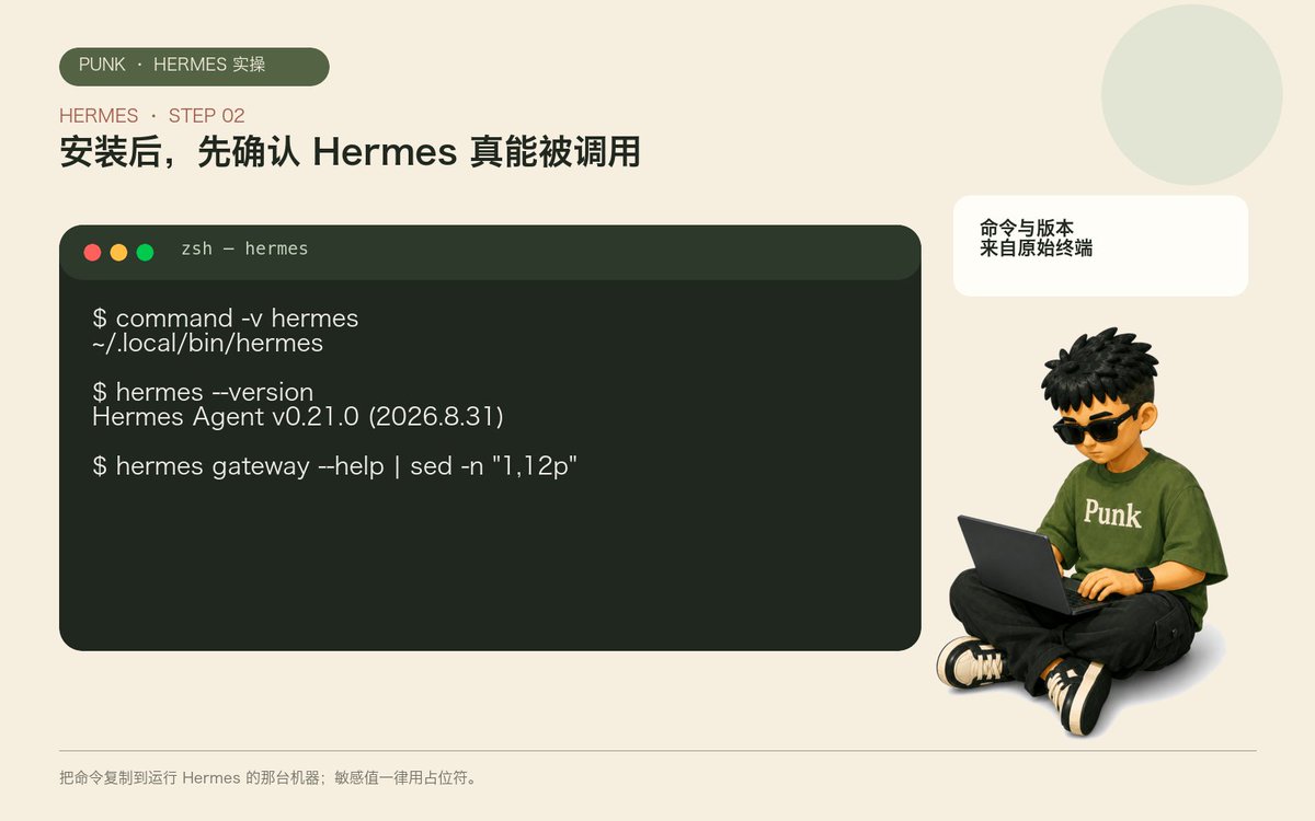 Hermes 安装后 command -v hermes、hermes --version 与 hermes doctor 的终端输出