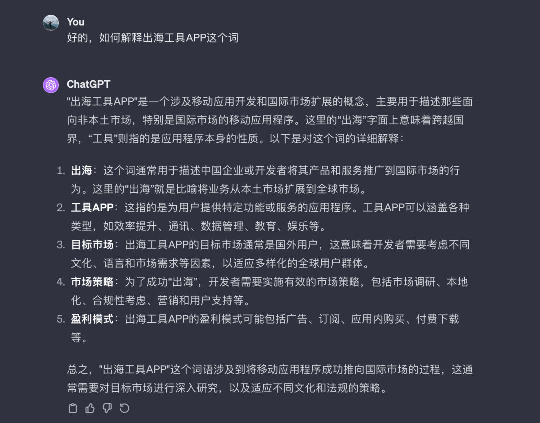 GPT 对出海工具 App 的直观解释截图