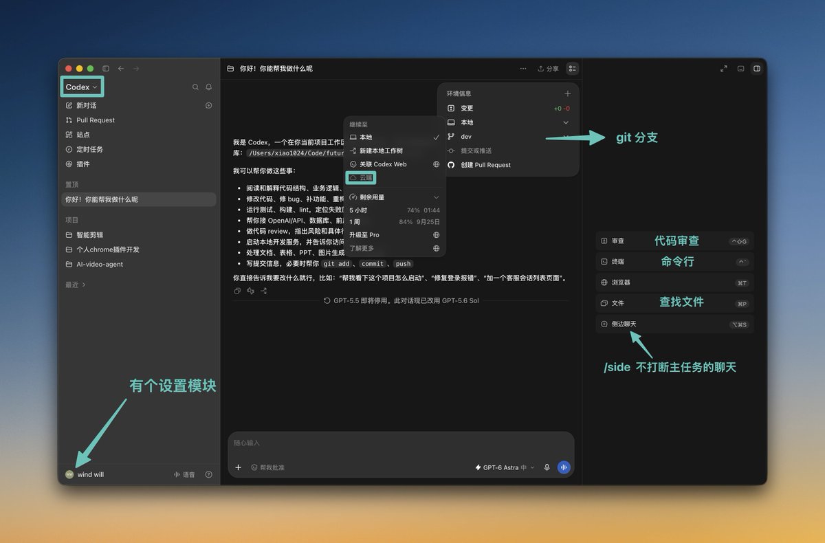 Codex 模式项目区界面截图