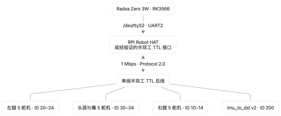 主控、HAT 与 Dynamixel 总线的硬件连接路径图