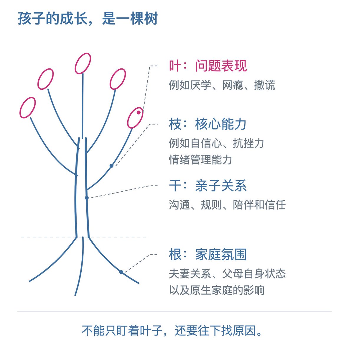 根干枝叶成长模型的四层结构示意图